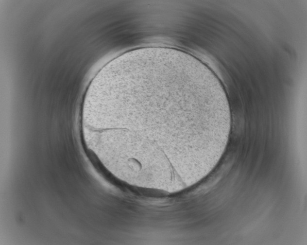 X0000111941387200909071250