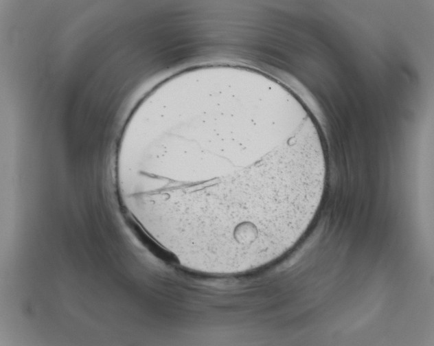 X0000111941388200909071250