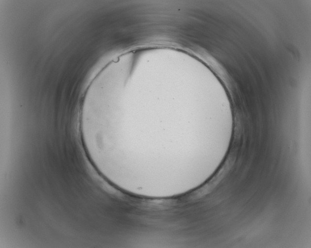 X0000111941390200909071250