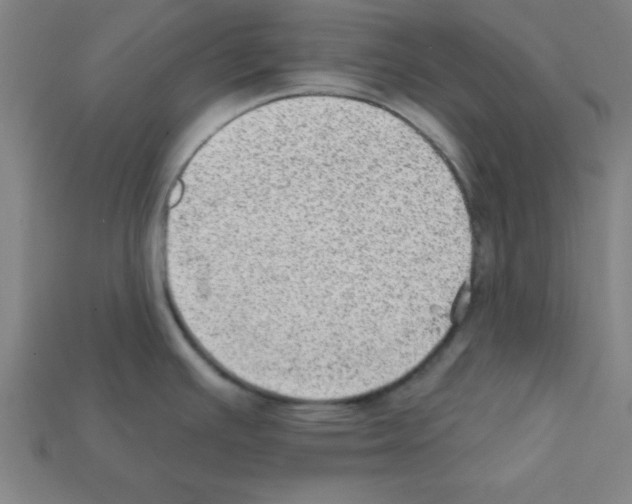 X0000111941391200909071250
