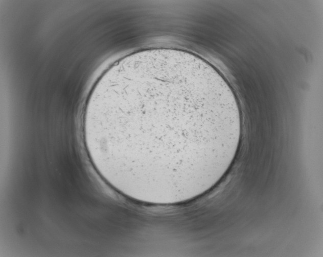 X0000111941392200909071250