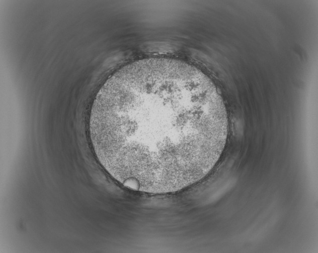 X0000111941393200909071249