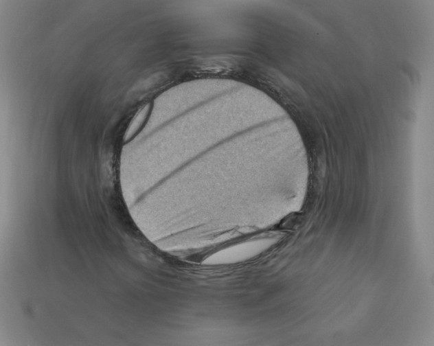 X0000111941394200909071249