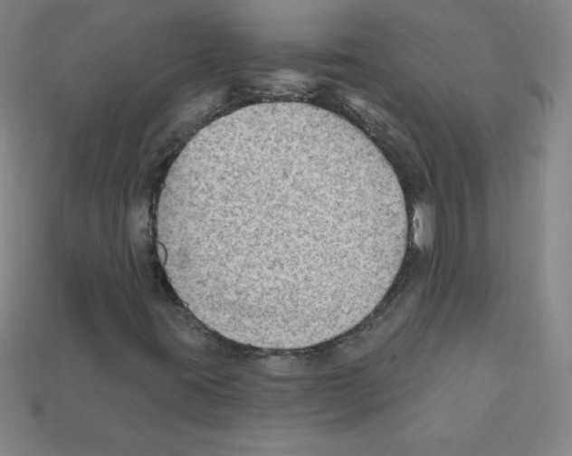 X0000111941395200909071250