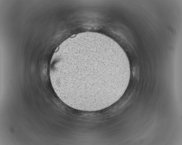 X0000111941396200909071250