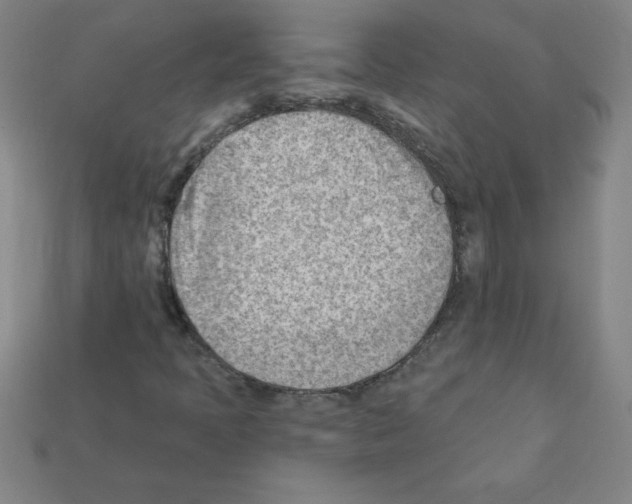 X0000111941397200909071250