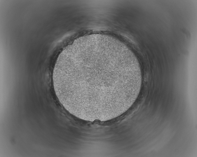 X0000111941398200909071250