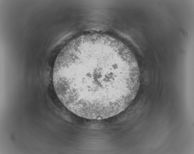 X0000111941399200909071250
