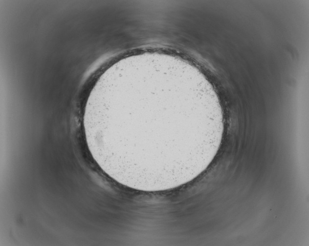 X0000111941400200909071250