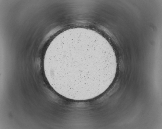 X0000111941402200909071250