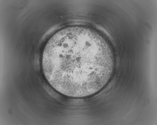 X0000111941403200909071250