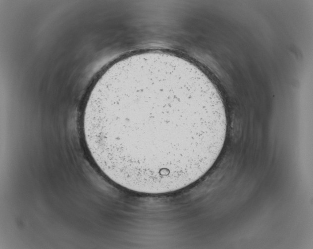X0000111941404200909071250