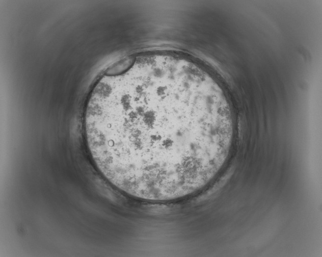 X0000111941405200909071250