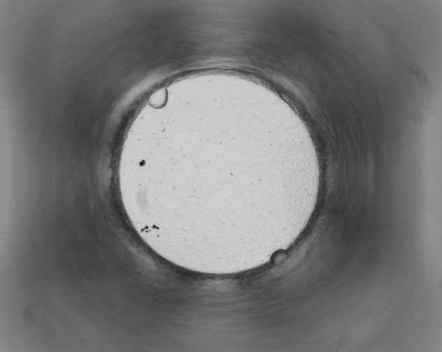 X0000111941406200909071250