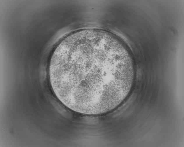 X0000111941407200909071250