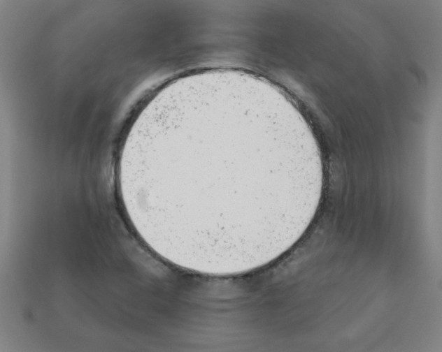 X0000111941408200909071250