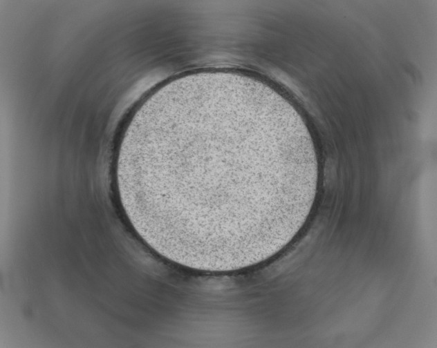 X0000111941410200909071250