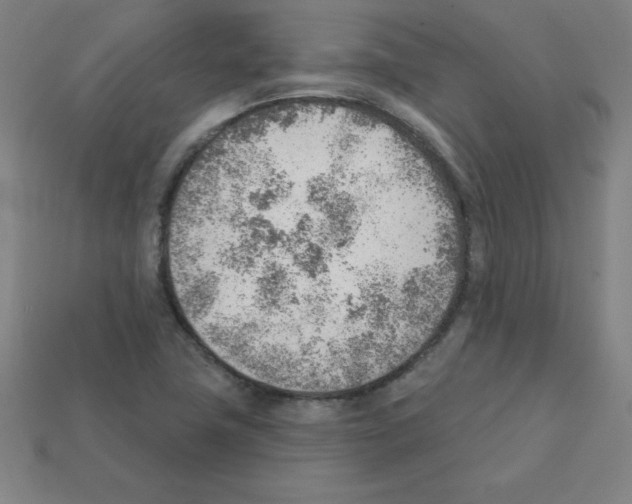 X0000111941411200909071250