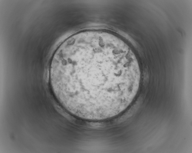 X0000111941413200909071250