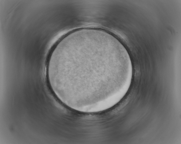 X0000111941414200909071250