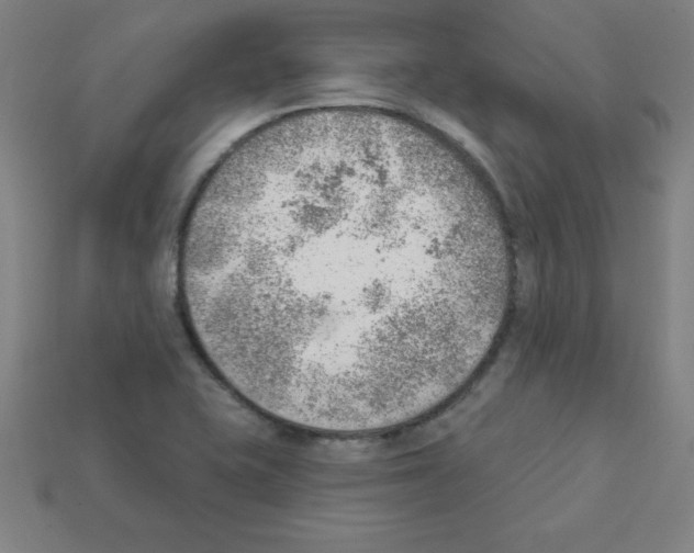 X0000111941415200909071250
