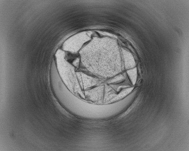 X0000111941417200909071250