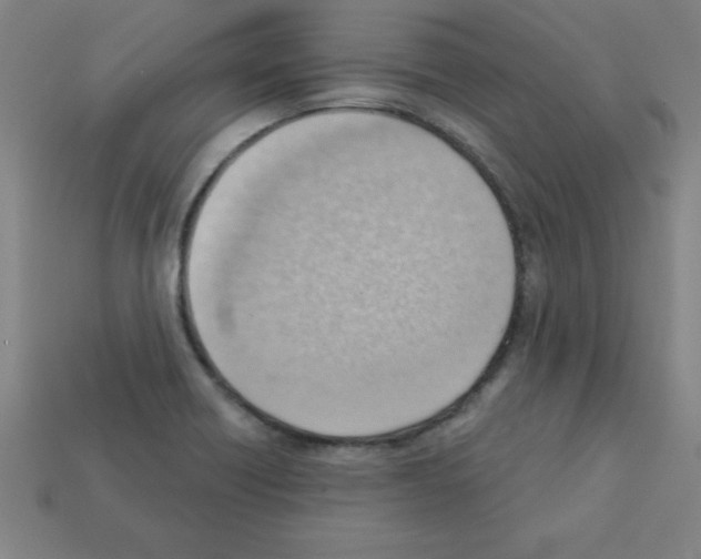 X0000111941418200909071250