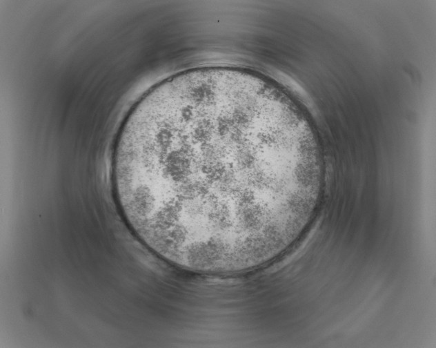 X0000111941419200909071250