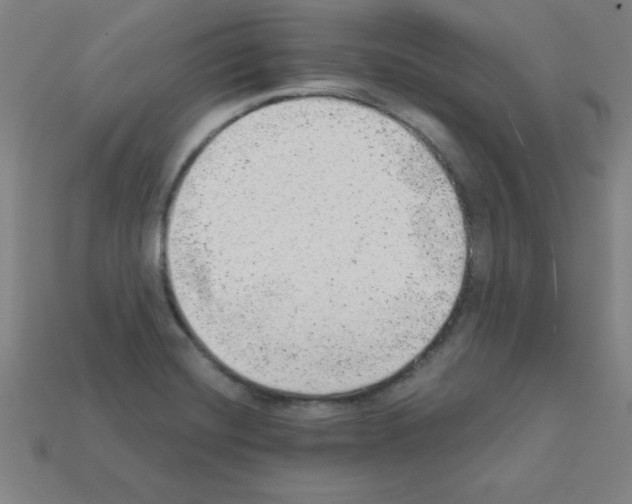 X0000111941420200909071250