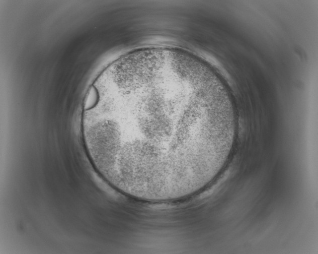 X0000111941421200909071250