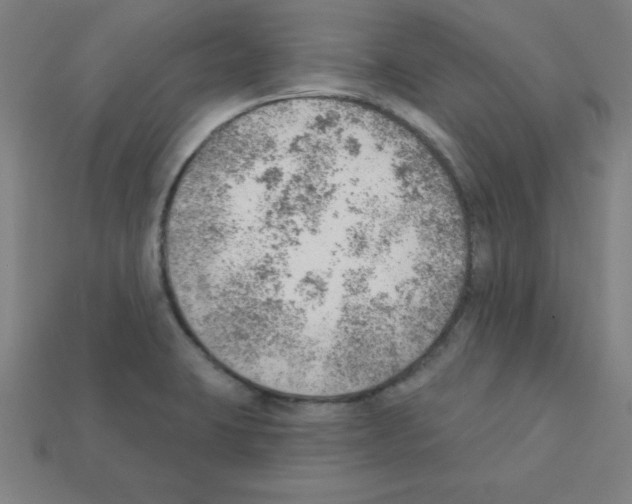 X0000111941423200909071250