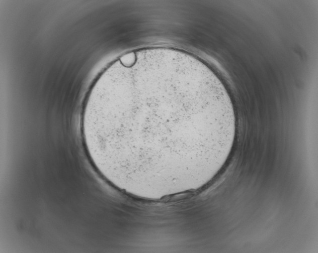 X0000111941424200909071250