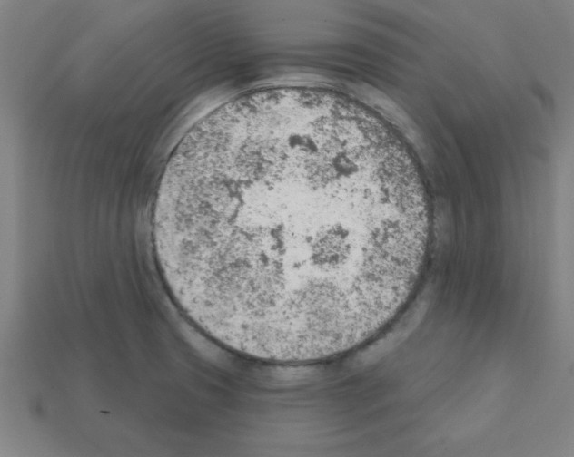 X0000111941425200909071250
