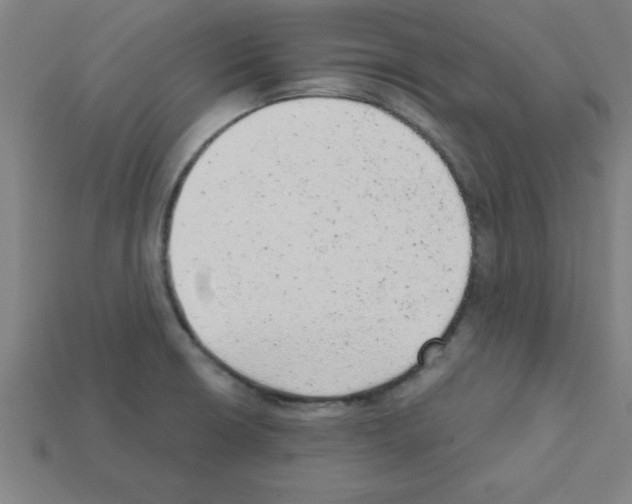 X0000111941426200909071250