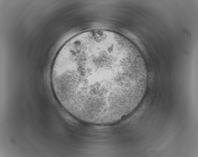 X0000111941427200909071250