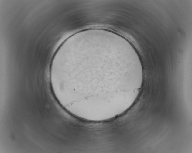X0000111941428200909071250