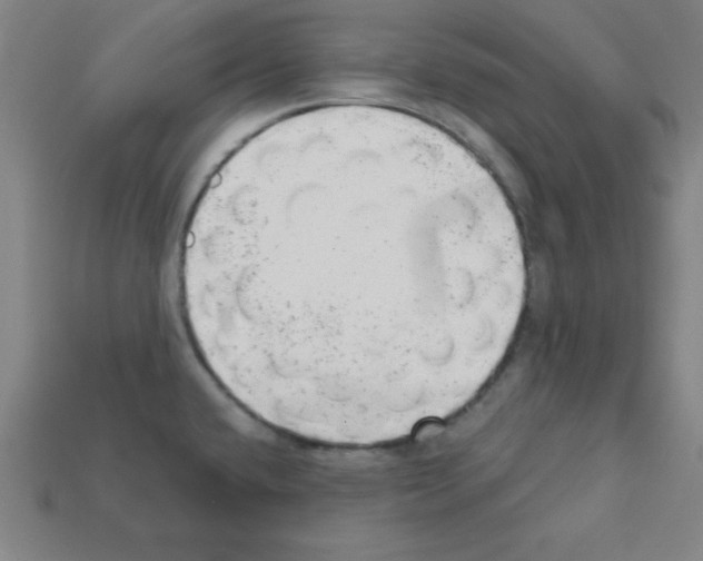 X0000111941432200909071250