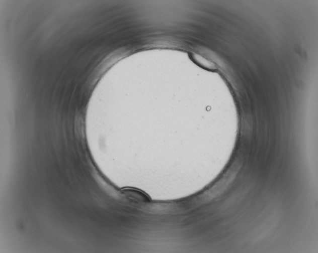 X0000111941433200909071250