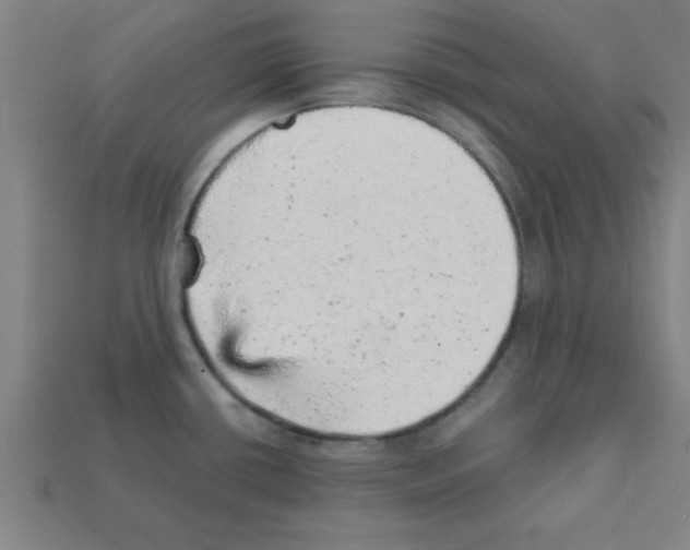 X0000111941434200909071250