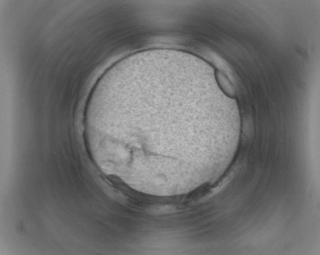 X0000111941435200909071250