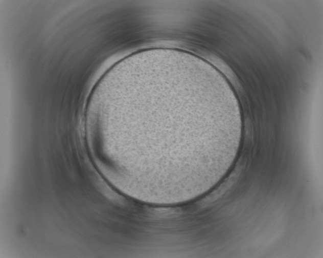 X0000111941436200909071250