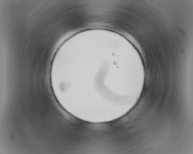 X0000111941437200909071250