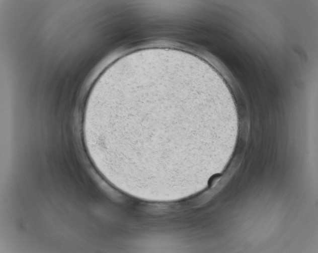 X0000111941438200909071250
