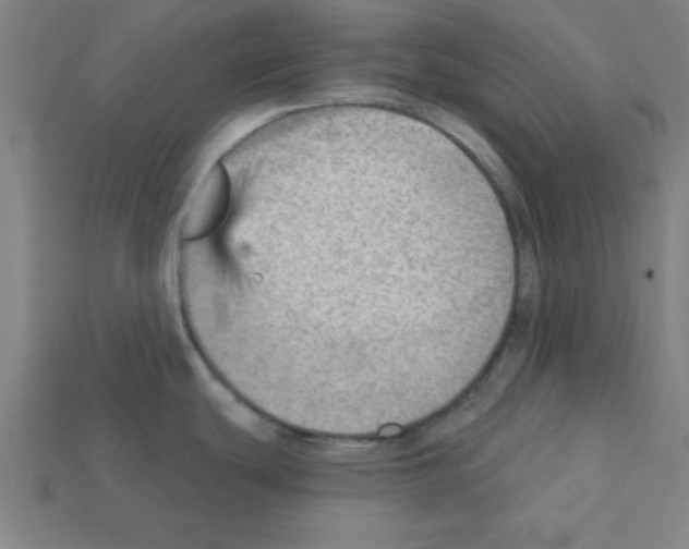 X0000111941439200909071250