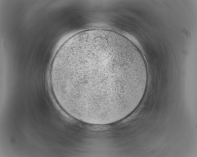 X0000111941440200909071250