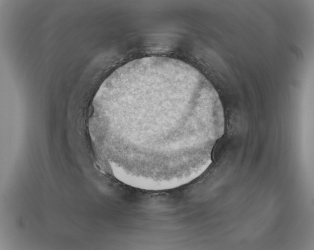 X0000111941441200909071249