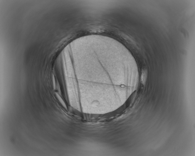 X0000111941444200909071249