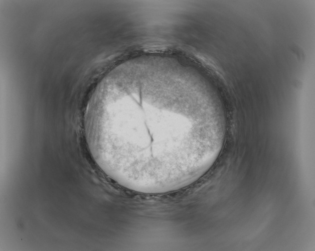 X0000111941445200909071249
