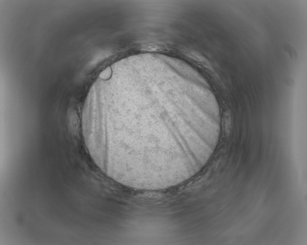 X0000111941446200909071249