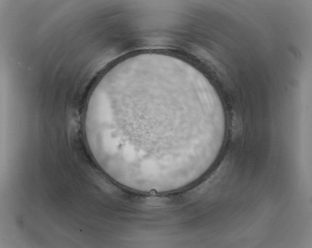 X0000111941449200909071249